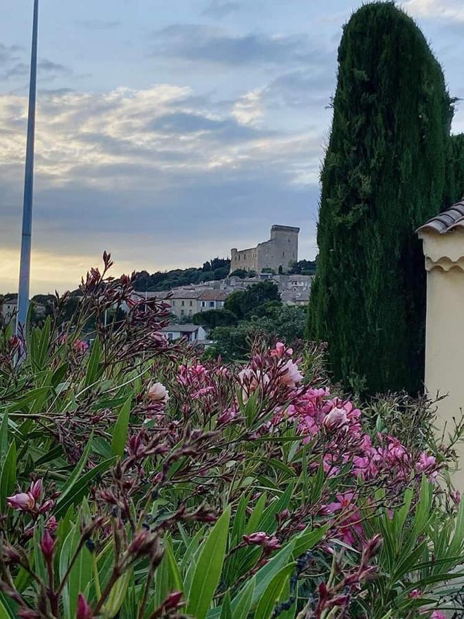 Villa Syrah Châteauneuf-du-Pape Buitenkant foto